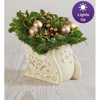 1-800-Flowers Seasonal Gift Delivery Enchanting Evergreen Sleigh Evergreen Sleigh W/ Lights