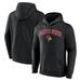 Men's Fanatics Branded Black Illinois State Redbirds Campus Team Pullover Hoodie