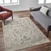 Asabi 9' x 12'2" Traditional Light Sage/Tan/Mustard/Olive/Sage/Brick Red/Dark Blue/Burgundy Area Rug - Hauteloom