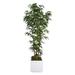 Vintage Home Artificial Faux Real Touch 78 Tall Natural Bamboo Tree And 14 Planter