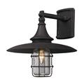 Troy Lighting Allegany 13 Inch Tall 1 Light Outdoor Wall Light - B3221-HBZ