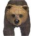 Safari 181329 Grizzly Bear Figurine Multi Color