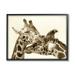 Stupell Industries Sweet Cuddling Giraffes Sepia Wildlife Photography Portrait Photograph Black Framed Art Print Wall Art Design by Carrie Ann Grippo-Pike