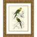 DOrbigny M.Charles 19x24 Gold Ornate Wood Framed with Double Matting Museum Art Print Titled - Birds of Costa Rica IV