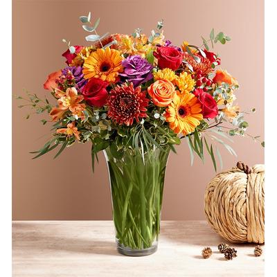 1-800-Flowers Seasonal Gift Delivery Expressions Of Fall Bouquet Large