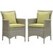 Pemberly Row Patio Dining Arm Chair in Gray and Peridot (Set of 2)