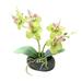Artificial Orchid Flower Stem Plants Real Touch White Simulation Butterfly Phalaenopsis Flowers Fake Flower Simulation for Home Office Decor Home Wedding Party Decoration