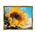 Stupell Industries Summer Sunflower Blossom Pollinating Honey Bee Photography Photograph Metallic Gold Floating Framed Canvas Print Wall Art Design by Hey Bre! Creative Studio