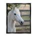 Stupell Industries Elegant White Spotted Horse Rural Country Farm Photograph Jet Black Floating Framed Canvas Print Wall Art Design by Daphne Polselli