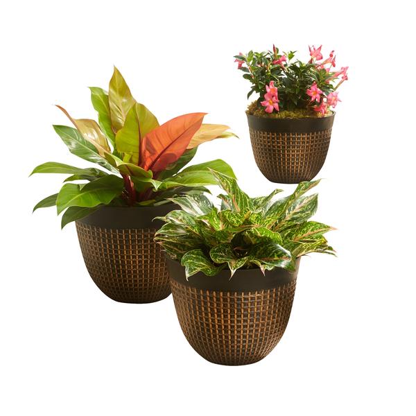 set-of-3-waffle-finish-planters-by-brylanehome-in-bronze/