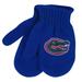 Toddler Florida Gators Logo Mittens