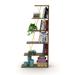 SavaHome Taliyah 5-shelf Angled Modern Bookcase