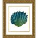 Grey Jace 15x18 Gold Ornate Wood Framed with Double Matting Museum Art Print Titled - Gold Trim Sea Green Shells