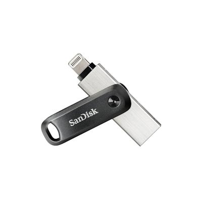 SanDisk SDIX60N-256G-GN6NE USB-Stick 256 GB 3.2 Gen 1 (3.1 Gen 1) Grau, Silber