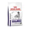 Royal Canin Expert Canine Dental Medium & Large Dog - 2 x 13 kg