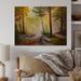 Mill Pines Afternoon Light Through The Trees In The Forest - Traditional Wall Art - Natural Pine in White | 24 H x 36 W x 1 D in | Wayfair