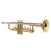 Standard Bb Brass Trumpet Wind Instrument with Mouthpiece Carry Bag Gloves Cleaning Cloth Tuner