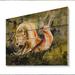 Trinx Cartoon Snail Shell - Unframed Painting on Wood in Brown/Green/Orange | 8 H x 12 W x 1 D in | Wayfair B7F3FDA336D64913BEEE34FE847A7479