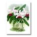 Designart White Vintage Orchid Flower I Traditional Canvas Wall Art Print