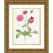 Redoute Pierre Joseph 15x18 Gold Ornate Wood Framed with Double Matting Museum Art Print Titled - China Rose Bengal Animating Rosa indica dichotoma
