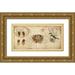 Devellier Deborah 18x11 Gold Ornate Wood Framed with Double Matting Museum Art Print Titled - Nesting I