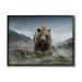 Stupell Industries Roaring Brown Grizzly Bear Rocky Mountain Top View Graphic Art Black Framed Art Print Wall Art Design by Kelley Parker
