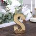 Efavormart 6 Shiny Gold Plated Ceramic Letter S Sculpture Flower Vase Bud Planter Pot Table Centerpiece