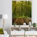 Millwood Pines Golden Sunlight In Pine Forest - Traditional Wood Wall Art - Natural Pine Wood in White | 36 H x 24 W x 1 D in | Wayfair