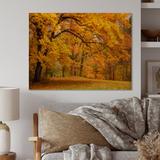 Millwood Pines Golden Autumn Forest - Traditional Wood Wall Art Panels - Natural Pine Wood in Black/Brown/Yellow | 8 H x 12 W x 1 D in | Wayfair