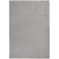 Nourison Essentials Indoor/Outdoor Silver Grey 6 x 9 Area Rug (6x9)