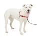 PetSafe Deluxe Easy Walk Harness Medium/Large Rose