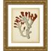 Vision Studio 20x24 Gold Ornate Wood Framed with Double Matting Museum Art Print Titled - Antique Red Coral VI