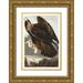 Audubon John James 18x24 Gold Ornate Wood Framed with Double Matting Museum Art Print Titled - Golden Eagle