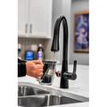 AquaNuTech All-In-One Faucet - Instant Hot Water, Filtered & Tap, Pull-Down Spray, LED Touch, Single Hole in Gray/Black | 17.5 H x 6.2 W in | Wayfair