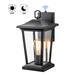 C Cattleya 1-Light Matte Black Dusk to Dawn Outdoor Wall Light