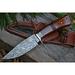 BigCat Roar Cougar Hunter Damascus Buck Knife with Sheath - 4.8 Drop-Point EDC Hunting Knife