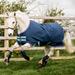 Amigo Hero 900 Pony Turnout Blanket (200g Medium) Dark Blue (Capri/Raspberry/Purple Trim) Size: 63