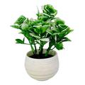 Artificial Bonsai Tree - Fake Plant Decoration Potted Artificial House Plants for Home DecorIndoor Ficus Bonsai Tree Plant for Decoration Desktop Display Zen Garden Decor