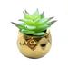 XINHUADSH Artificial Succulents Eco-friendly Mini Decorative Faux Succulents with Pot Lovely Great for Home