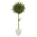 Nearly Natural Olive 5 ft. Topiary Artificial Tree in White Planter