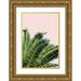Acosta 13x18 Gold Ornate Wood Framed with Double Matting Museum Art Print Titled - Tropical Leaves On Blush I