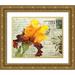 Melious Amy 18x15 Gold Ornate Wood Framed with Double Matting Museum Art Print Titled - Carte Postale Iris