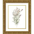 Swatland Sally 19x24 Gold Ornate Wood Framed with Double Matting Museum Art Print Titled - Dainty Botanical II