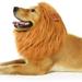 Lion Mane Headgear Costume - Adjustable Washable Comfortable Fancy Lion Hair Dog Clothes Dress for Christmas