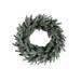 Plow & Hearth Misty 19.7" Lighted PVC & PE Blend Wreath in Green/White | 19.7 H x 19.7 W x 3.9 D in | Wayfair 65R35