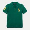 Ralph Lauren Shirts & Tops | Baby Boy Big Pony Cotton Mesh Polo Shirt 9months | Color: Green | Size: 9mb