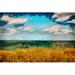 August Grove® Painted Wheat Field & Blue Sky - Wrapped Canvas Painting Canvas | 12 H x 18 W x 1.25 D in | Wayfair 73F4C443EF79454DA3B6E05195C9B47A