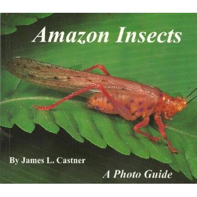 Amazon Insects A Photo Guide