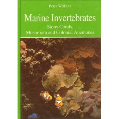 Marine Invertebrates Stony Corals Mushroom And Colonial Anemones