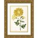 Curtis 13x18 Gold Ornate Wood Framed with Double Matting Museum Art Print Titled - Floral Lace IV